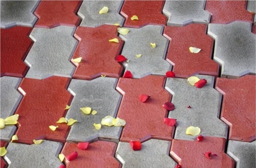 Zigzag Paver Block